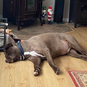 Meet your Posher, Rick